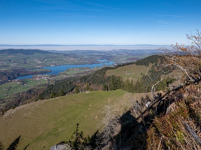 DCLDLUX8-20251108-1001998