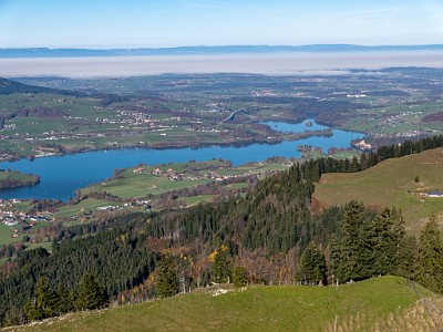 DCLDLUX8-20251108-1001999