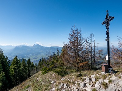 DCLDLUX8-20251108-1002000