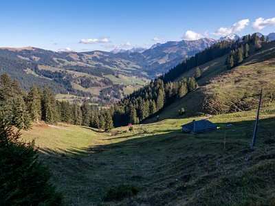 DCLDLUX8-20251108-1002004