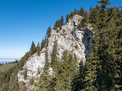 DCLDLUX8-20251108-1002005