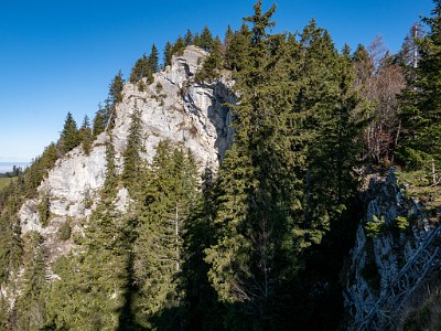 DCLDLUX8-20251108-1002006