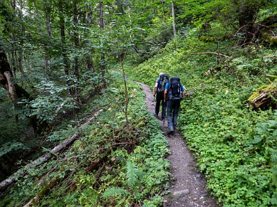 DCLDLUX8-20250901-1001117