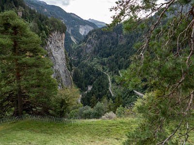 DCLDLUX8-20250901-1001119