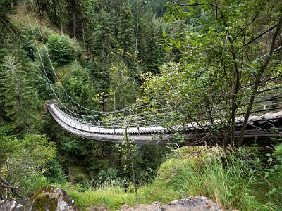 DCLDLUX8-20250901-1001148