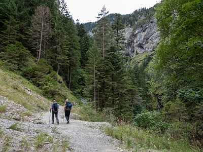 DCLDLUX8-20250901-1001162