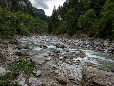 DCLDLUX8-20250901-1001188