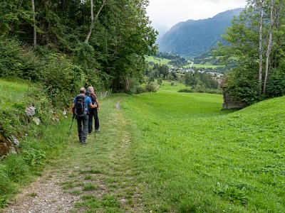 DCLDLUX8-20250901-1001194