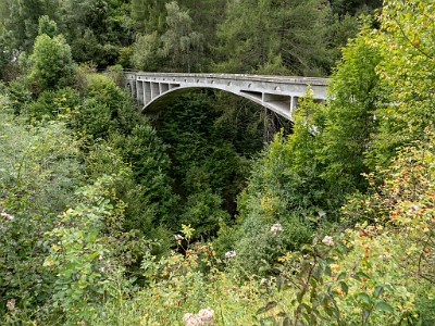 DCLDLUX8-20250901-1001206