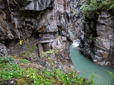 DCLDLUX8-20250902-1001242