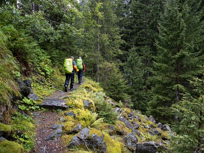 DCLDLUX8-20250902-1001280