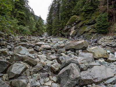 DCLDLUX8-20250902-1001283