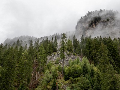 DCLDLUX8-20250902-1001286