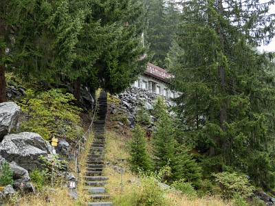 DCLDLUX8-20250902-1001290