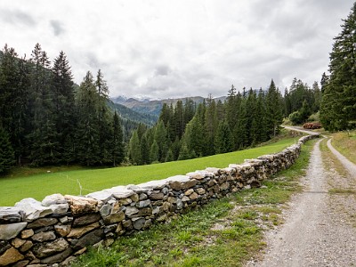 DCLDLUX8-20250902-1001299