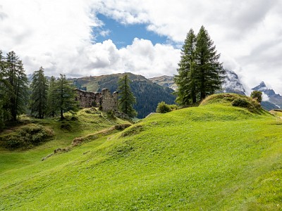 DCLDLUX8-20250902-1001306