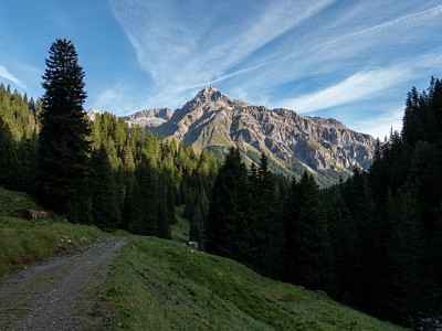 DCLDLUX8-20250903-1001334