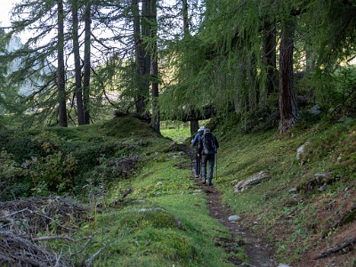 DCLDLUX8-20250903-1001337