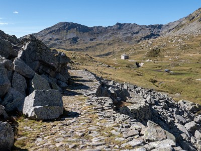 DCLDLUX8-20250903-1001350