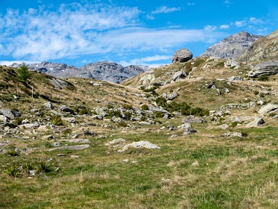 DCLDLUX8-20250903-1001365