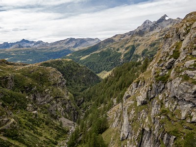 DCLDLUX8-20250903-1001390