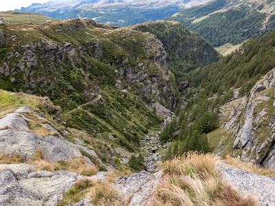 DCLDLUX8-20250903-1001391