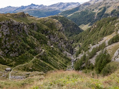 DCLDLUX8-20250903-1001395