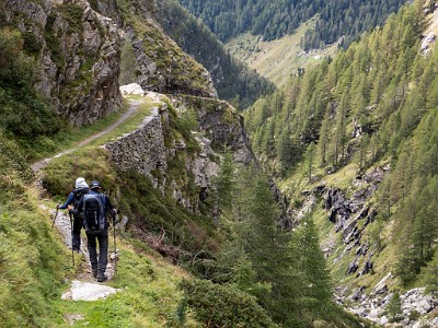 DCLDLUX8-20250903-1001396