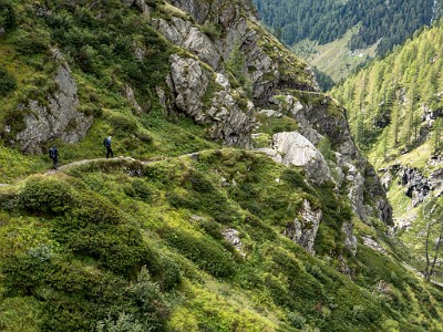 DCLDLUX8-20250903-1001401