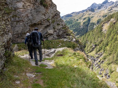 DCLDLUX8-20250903-1001404