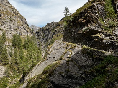 DCLDLUX8-20250903-1001406