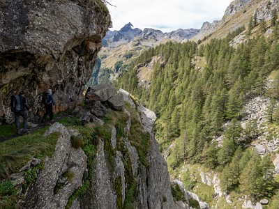 DCLDLUX8-20250903-1001407