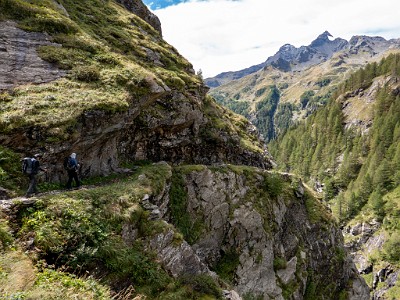 DCLDLUX8-20250903-1001408