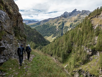 DCLDLUX8-20250903-1001409