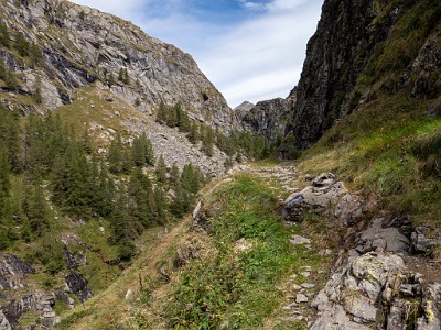 DCLDLUX8-20250903-1001410