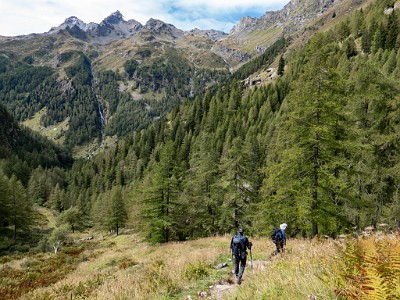 DCLDLUX8-20250903-1001411