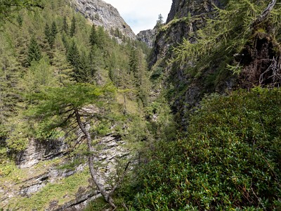 DCLDLUX8-20250903-1001415