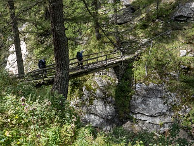 DCLDLUX8-20250903-1001419