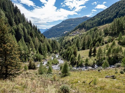 DCLDLUX8-20250903-1001426