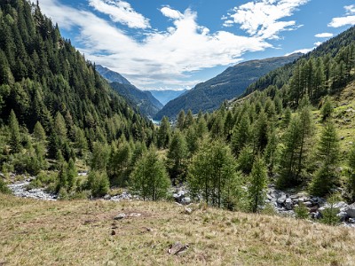 DCLDLUX8-20250903-1001427