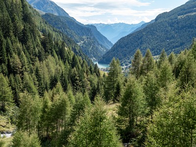 DCLDLUX8-20250903-1001428