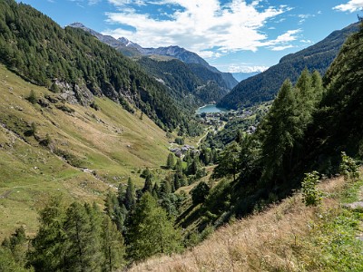 DCLDLUX8-20250903-1001442