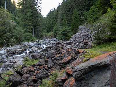 DCLDLUX8-20250904-1001453