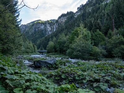 DCLDLUX8-20250904-1001454