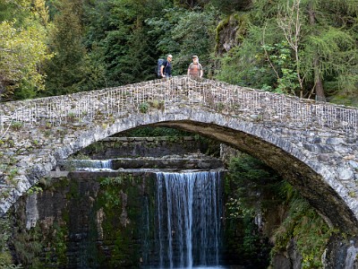 DCLDLUX8-20250904-1001473