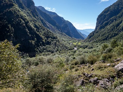 DCLDLUX8-20250904-1001492