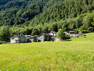 DCLDLUX8-20250904-1001494