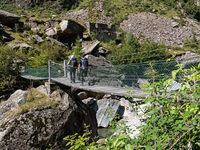 DCLDLUX8-20250904-1001502