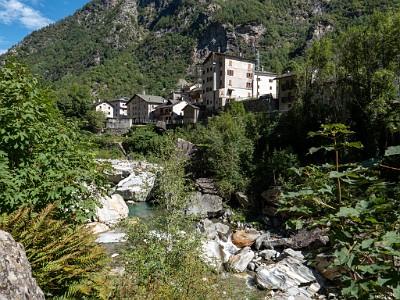 DCLDLUX8-20250904-1001508