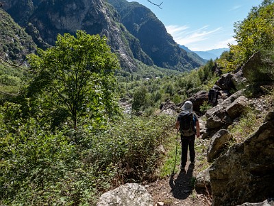 DCLDLUX8-20250904-1001509